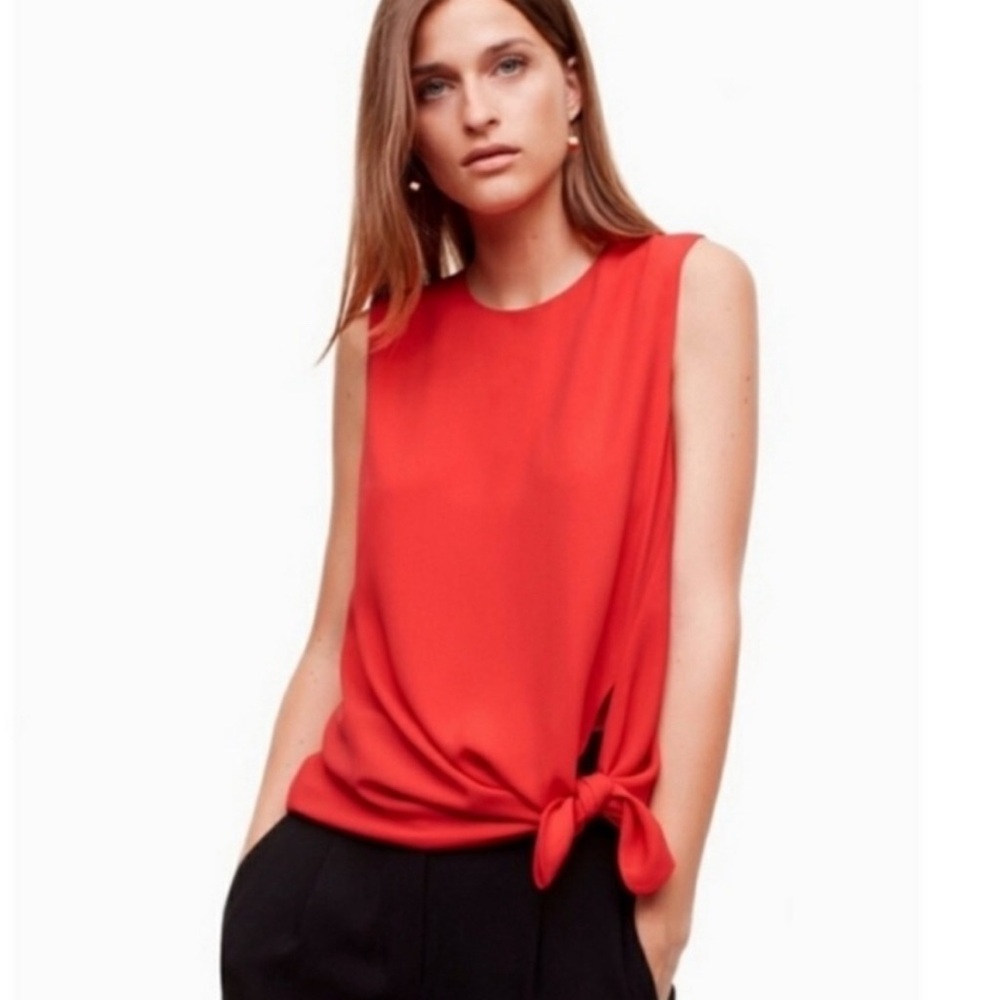 Aritzia’s Babaton Hopkins Blouse, L
